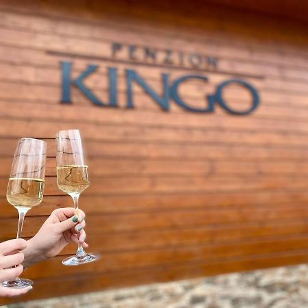 Penzion Kingo Nemšová Eksteriør bilde